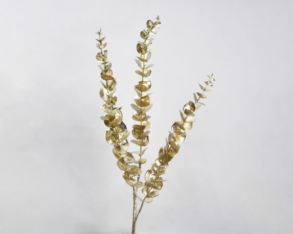 Ramo di Eucalipto Champagne Con Glitter