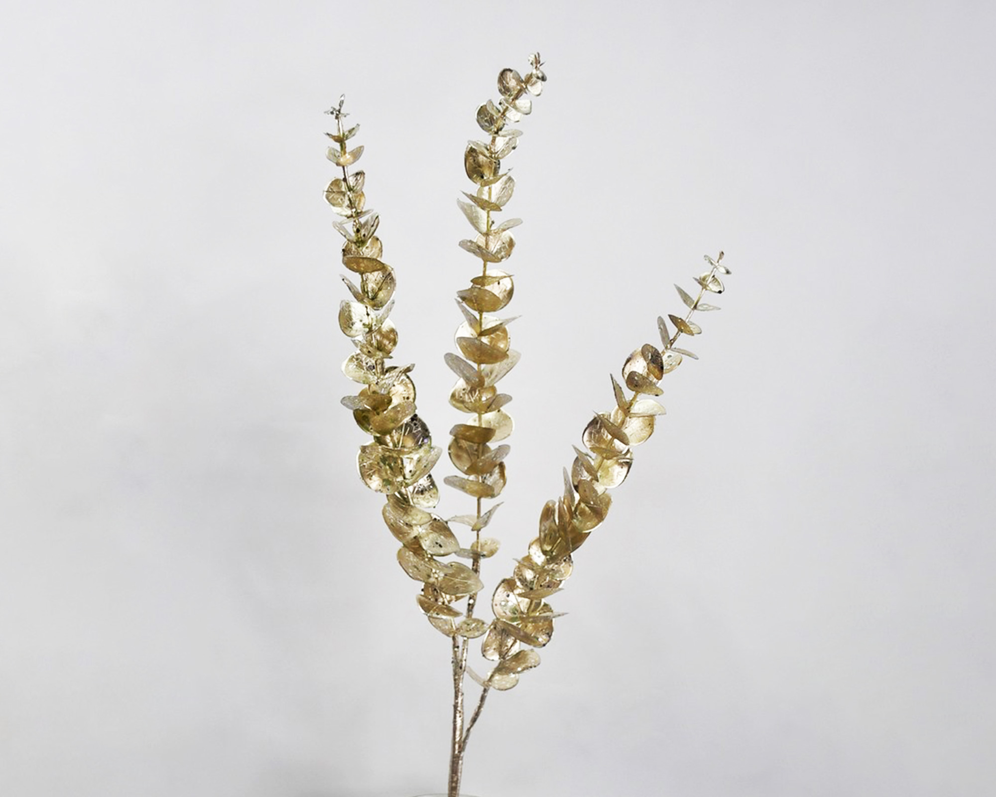 Ramo di Eucalipto Champagne Con Glitter