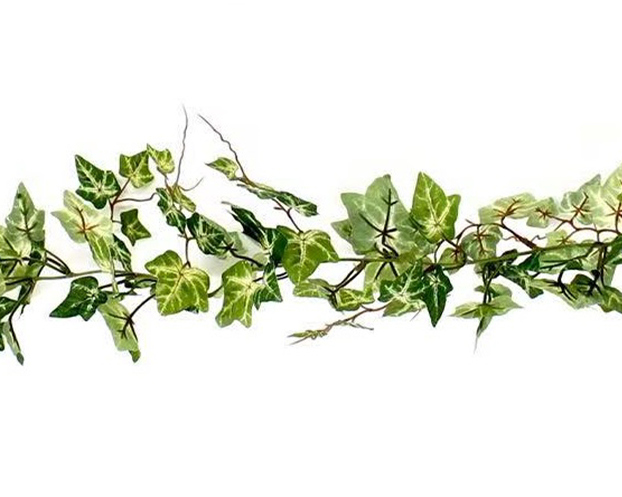 Decorazione Ramo Di Edera Variegata Verde - immagine 2