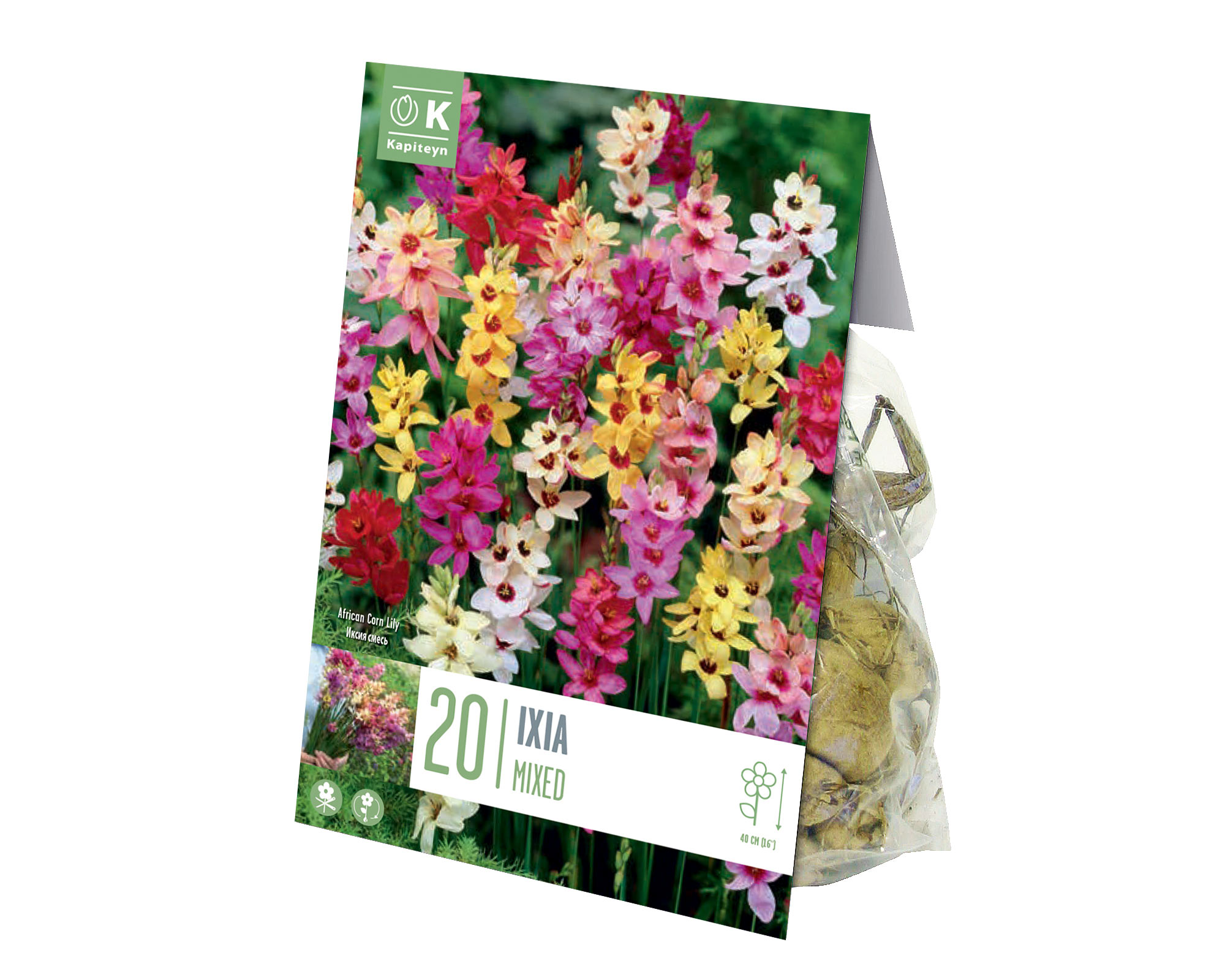X20 Bulbo Ixia Mix Color (Ixia) - Kapiteyn