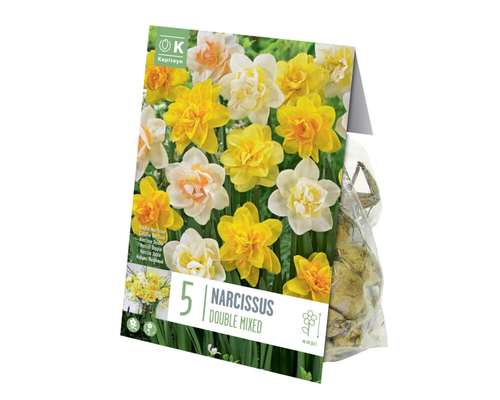 NARCISO BULBO NARCISSUS DOUBLE MIX COLOR X5 604250