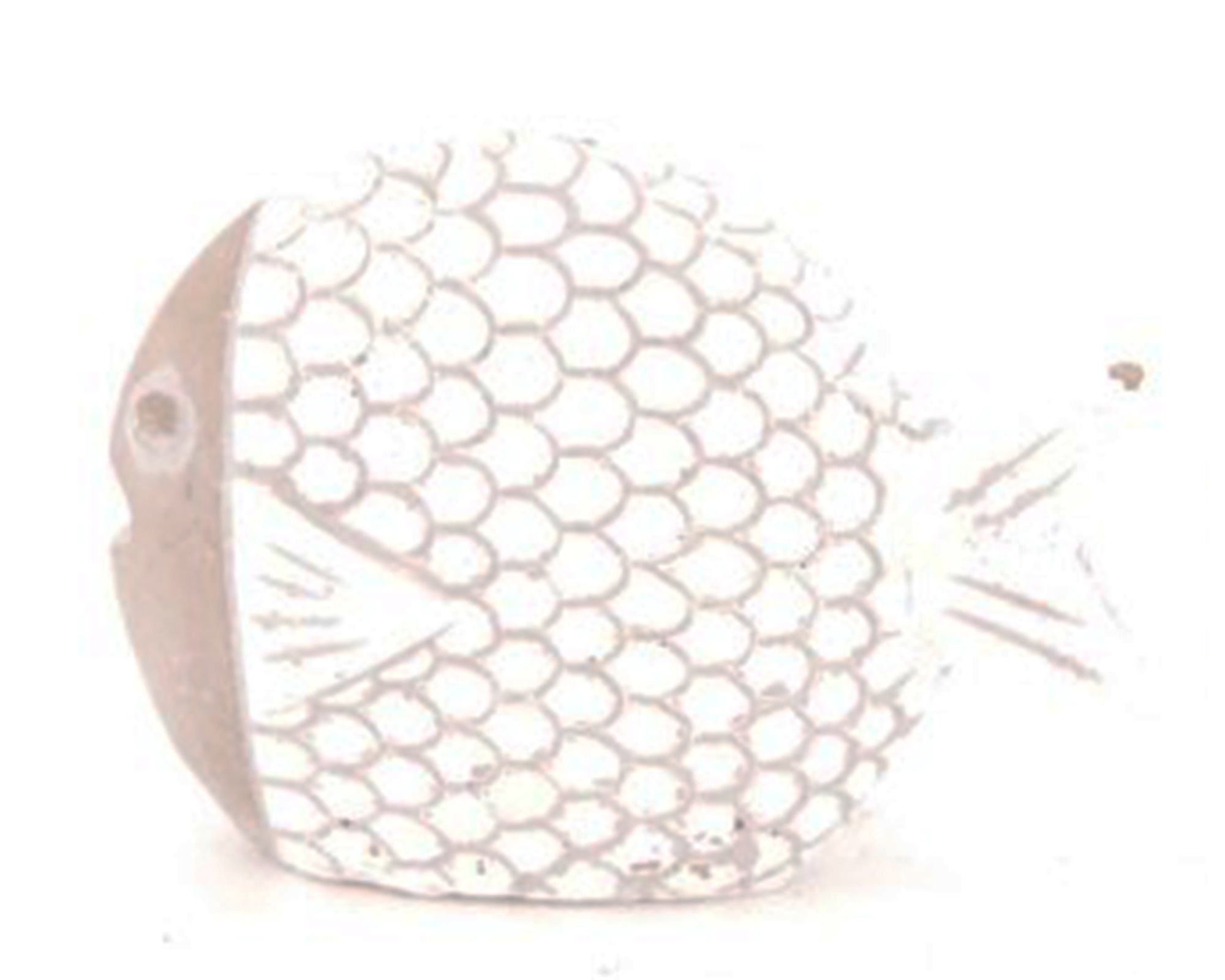 Pesce Di Cemento - Dijk - immagine 3