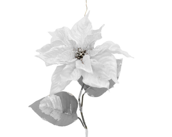 Fiori Di Poinsettia Shimmer Bianca