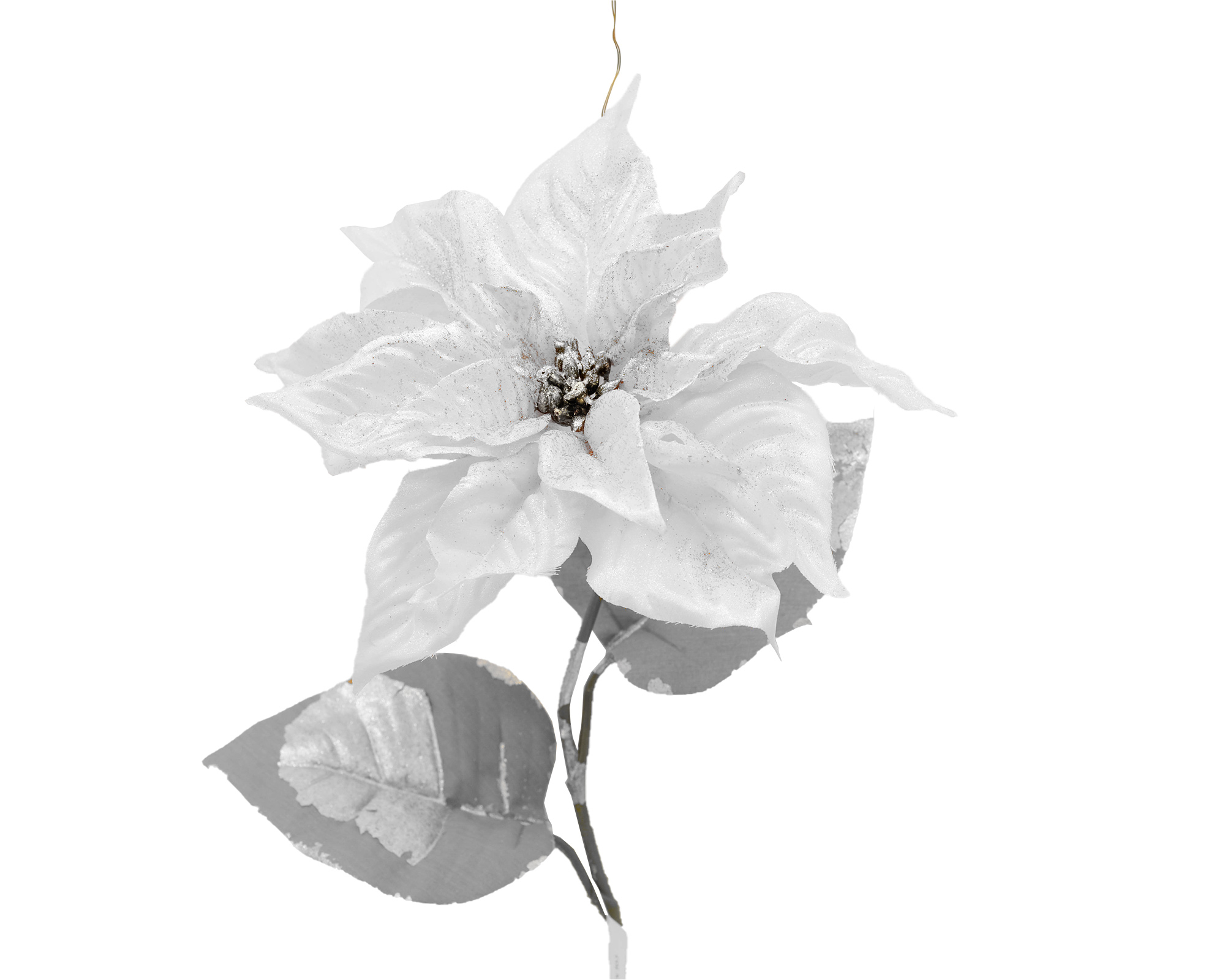 Fiori Di Poinsettia Shimmer Bianca