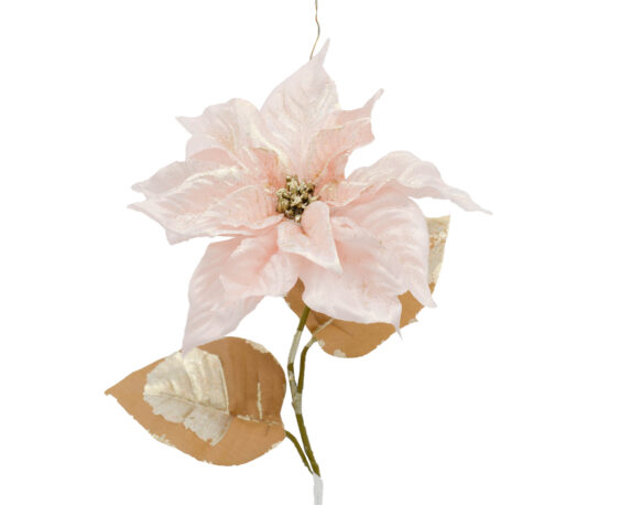 Fiori Di Poinsettia Shimmer Rosa