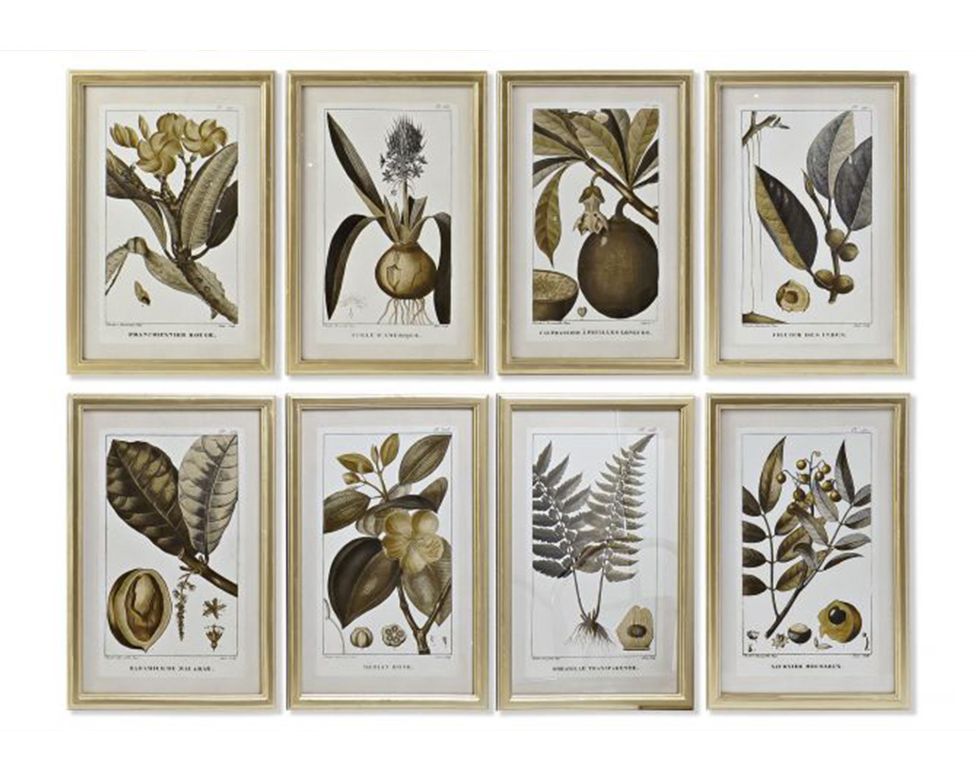 Quadro Di Botamica In MDF E Cristallo - Item