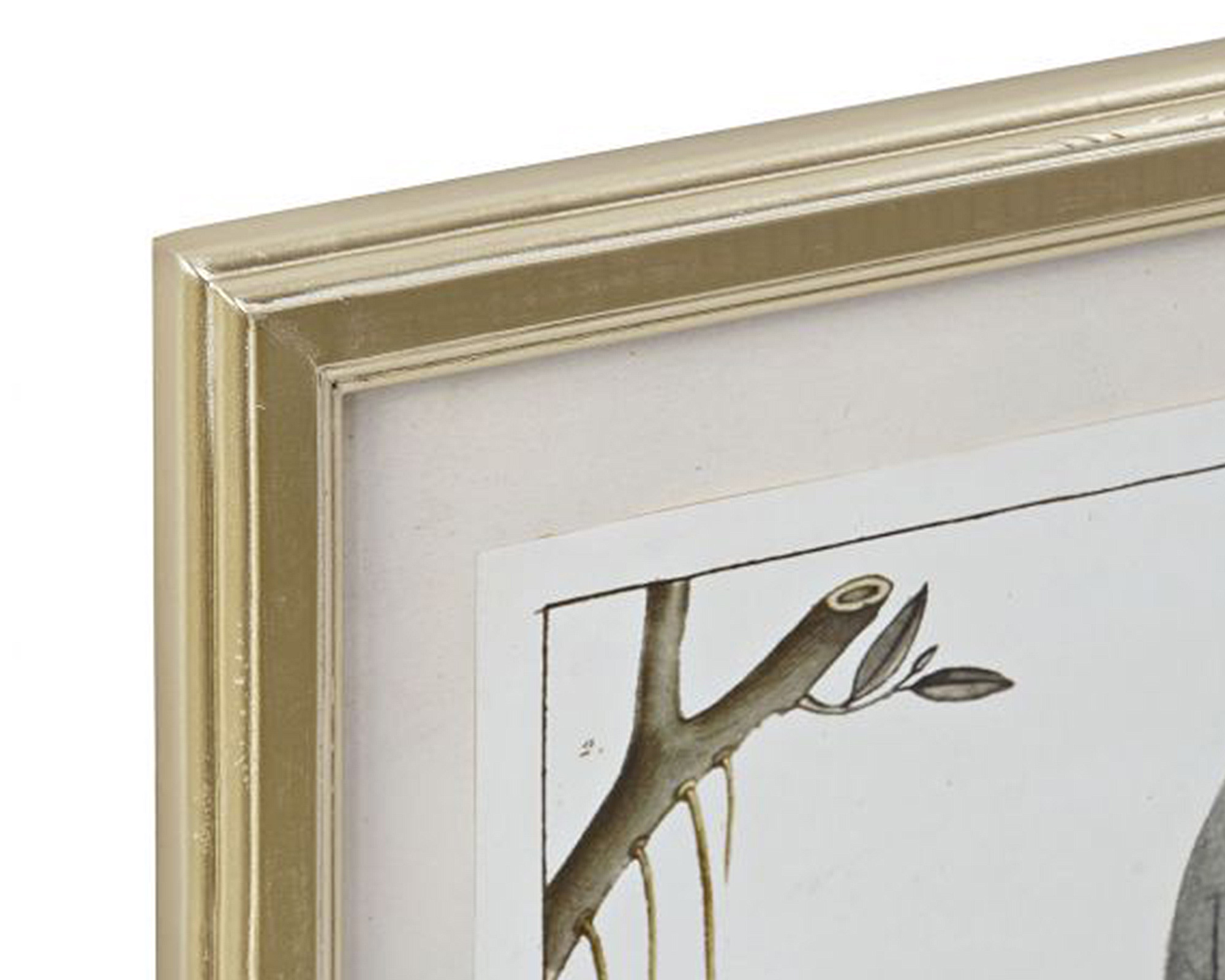 Quadro Di Botamica In MDF E Cristallo - Item - immagine 10