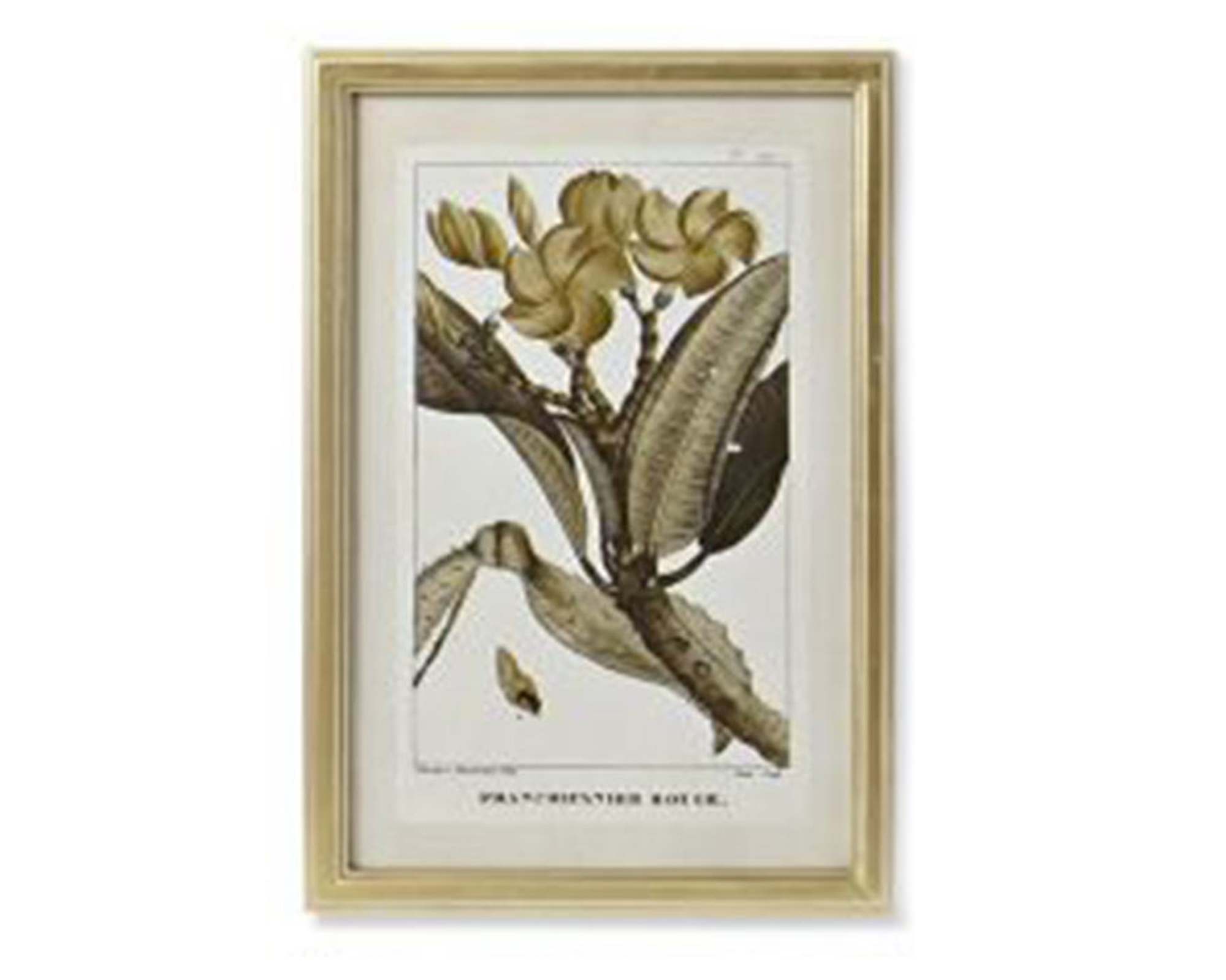 Quadro Di Botamica In MDF E Cristallo - Item - immagine 9