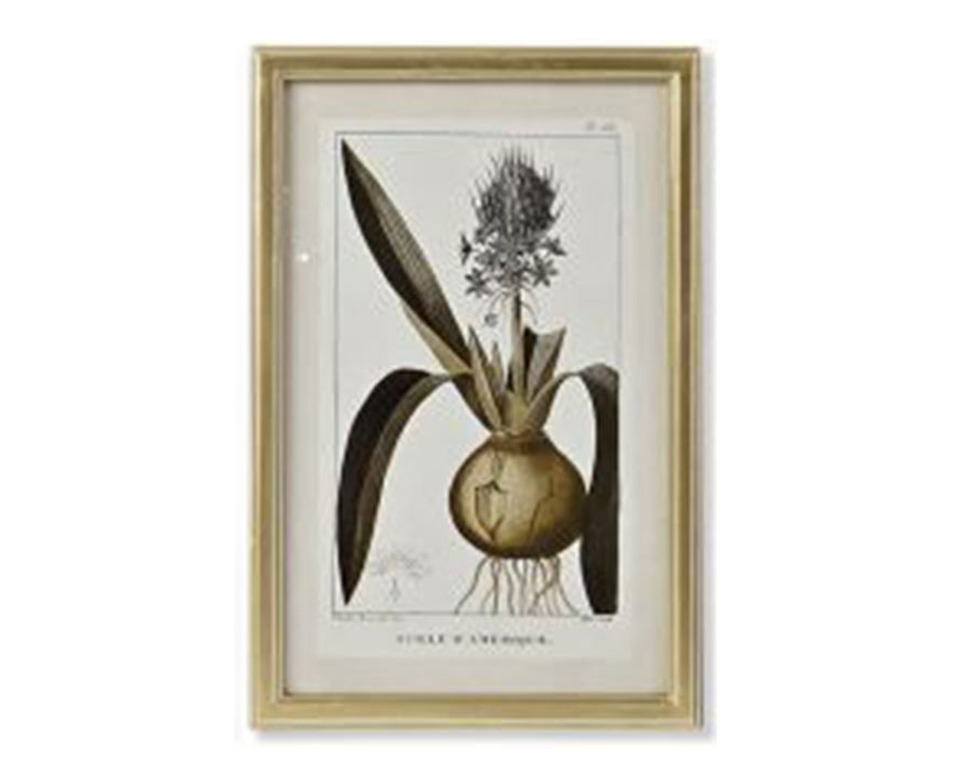 Quadro Di Botamica In MDF E Cristallo - Item - immagine 8