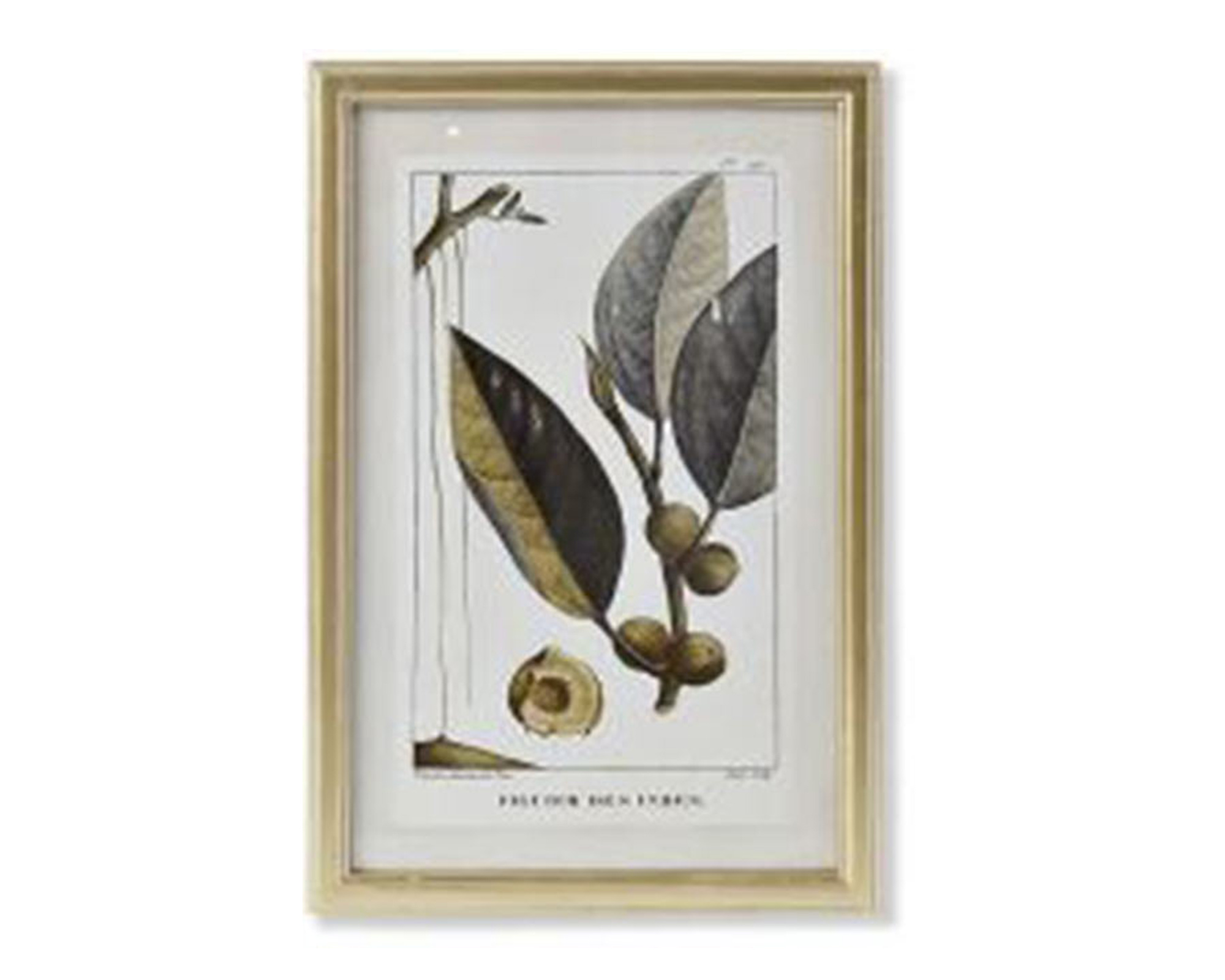 Quadro Di Botamica In MDF E Cristallo - Item - immagine 5