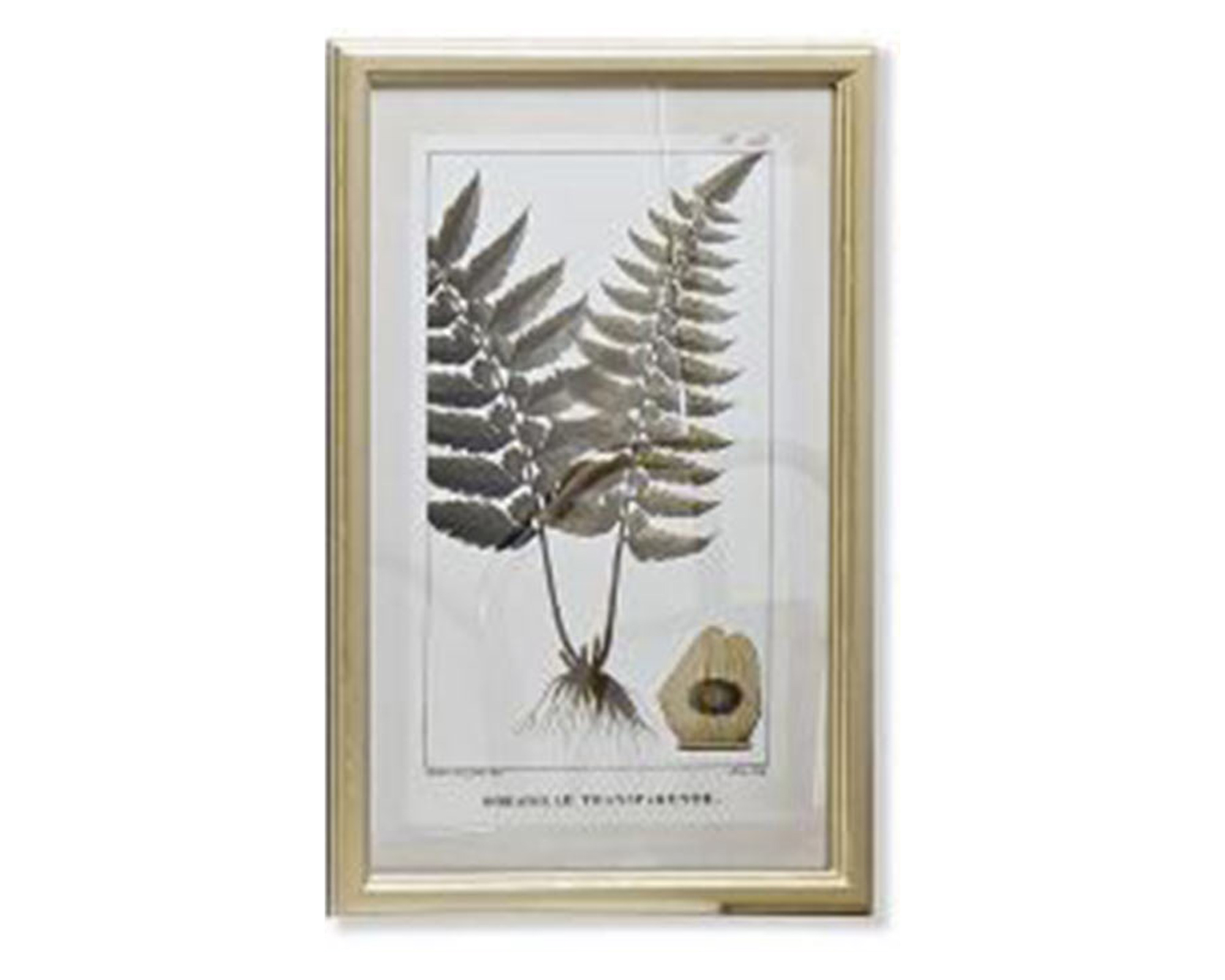 Quadro Di Botamica In MDF E Cristallo - Item - immagine 3