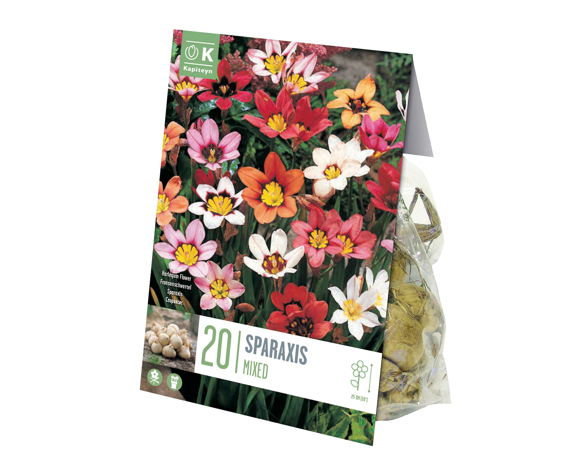 X20 Bulbo Sparaxis Mix Color (Sparaxis) - Kapiteyn