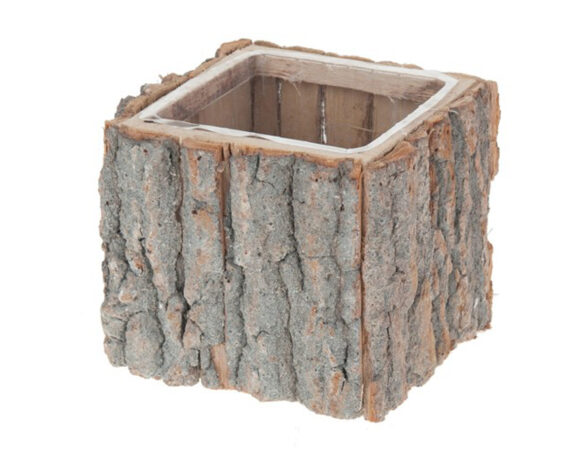 Vaso Quadrato In Corteccia D’Albero – Dijk