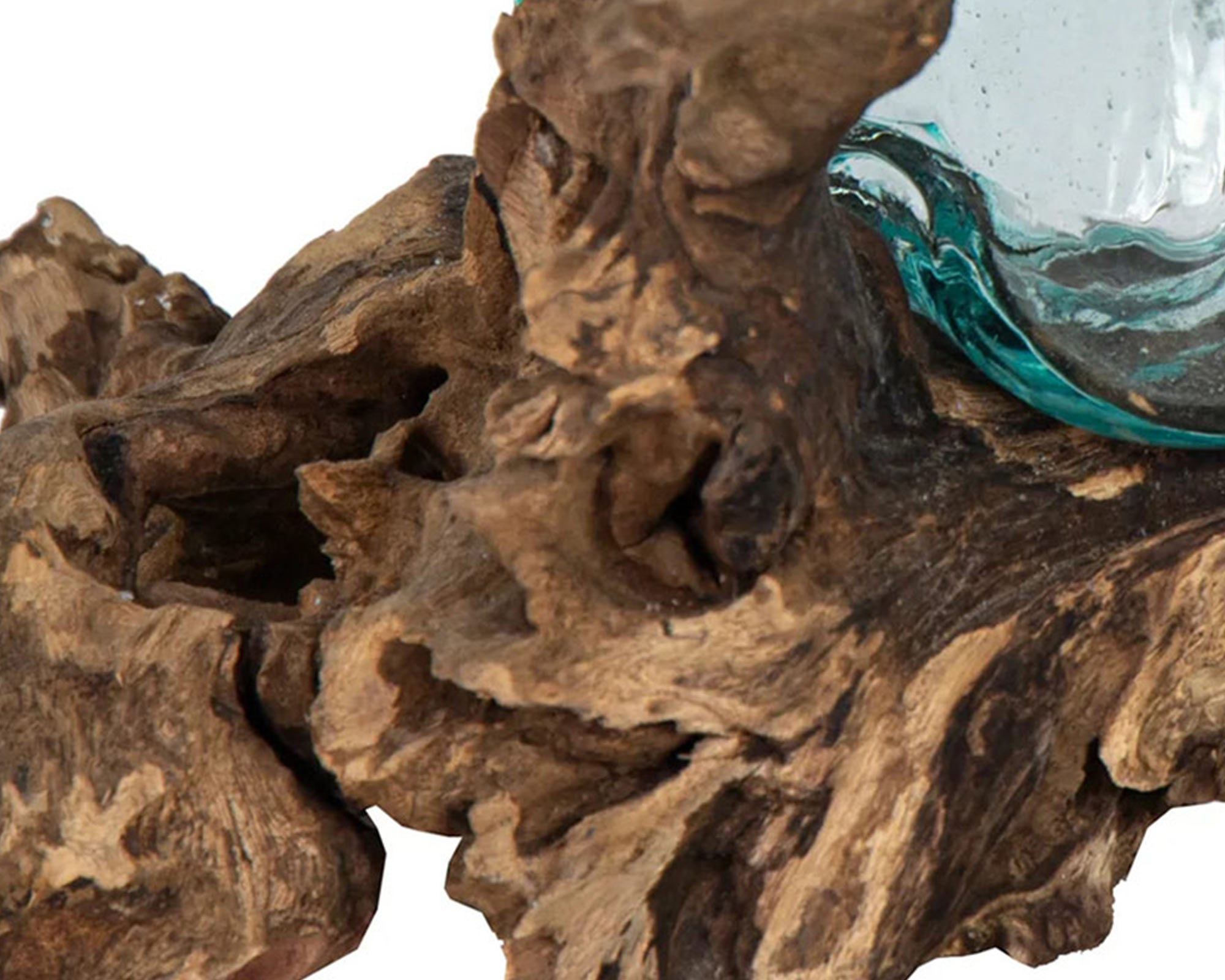 Radice Naturale Di Legno Con Ciotola - Mega Collections - immagine 2