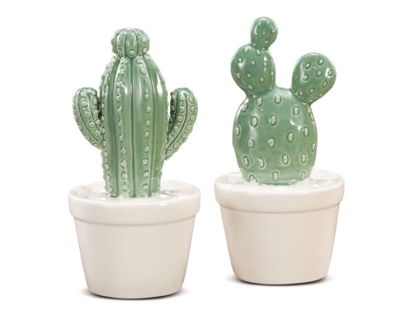 Cachepot Con Cactus In Ceramica