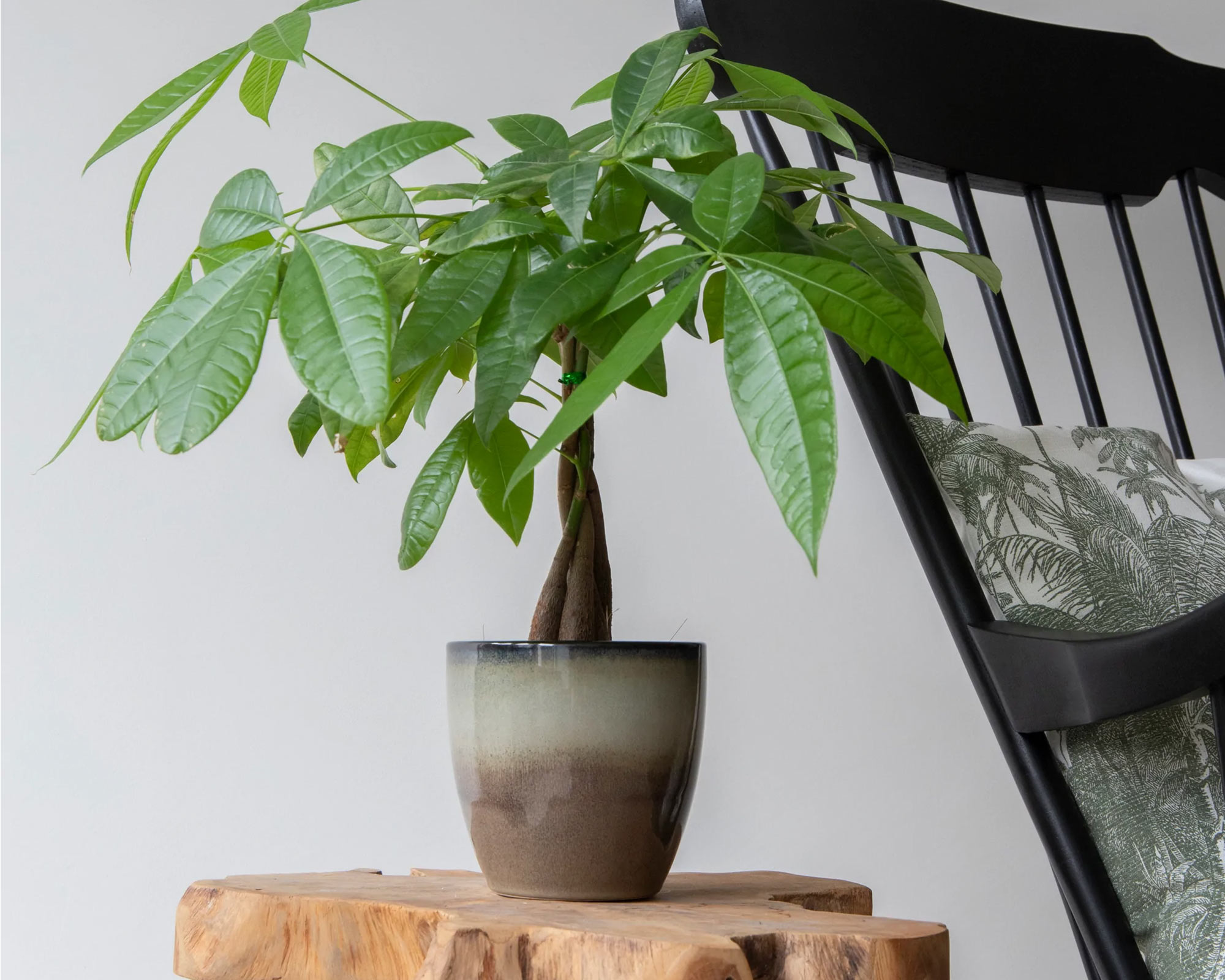 Cachepot Glazed Yall Taupe in Ceramica - immagine 3