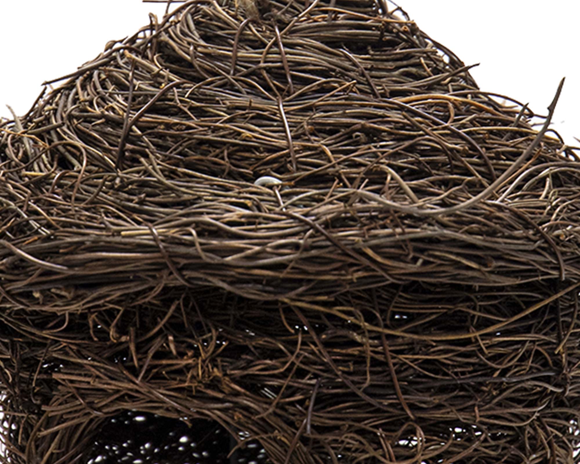 Casetta Per Uccelli Round Salim - immagine 2