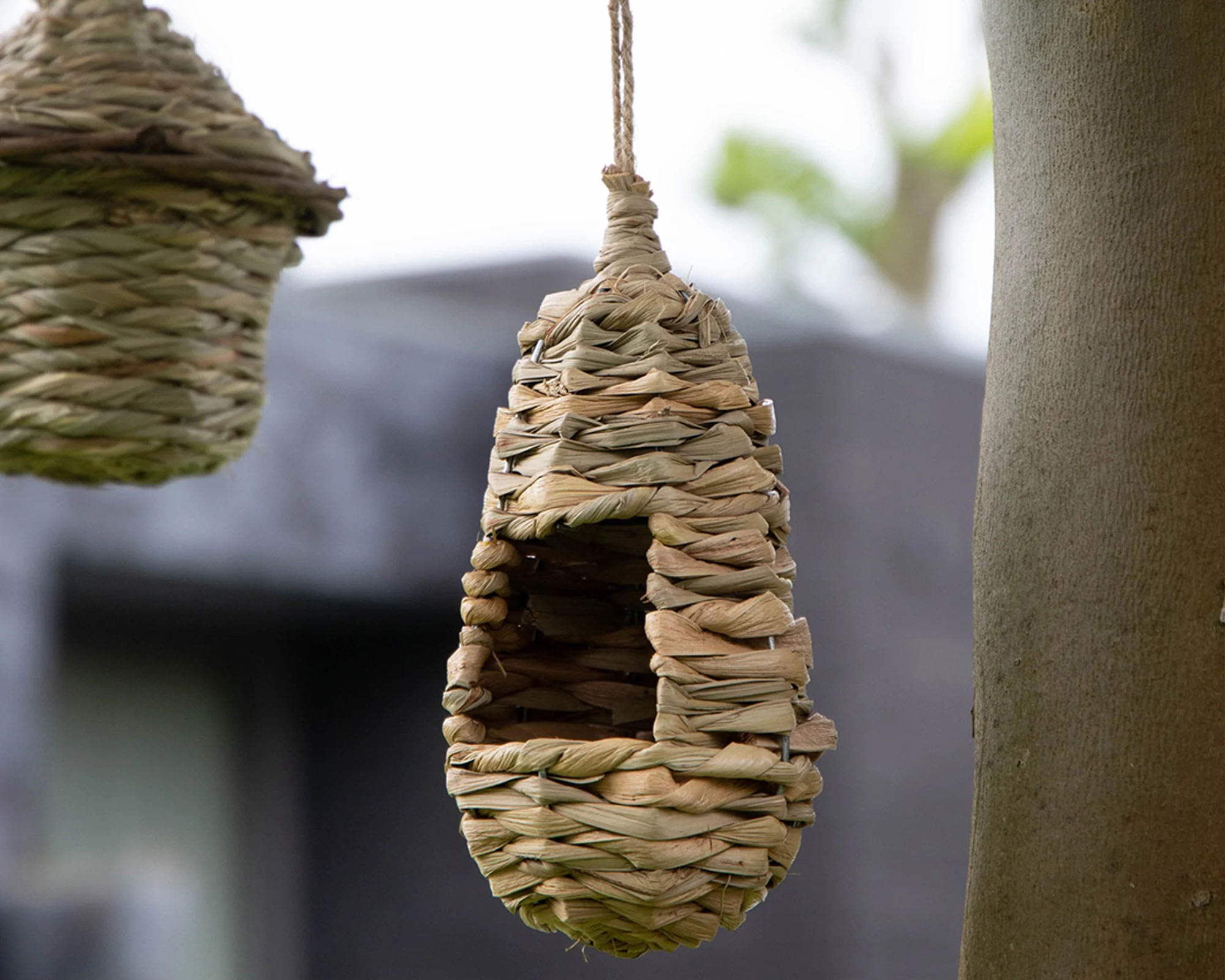 Casetta Per Uccelli In Seagrass - immagine 2