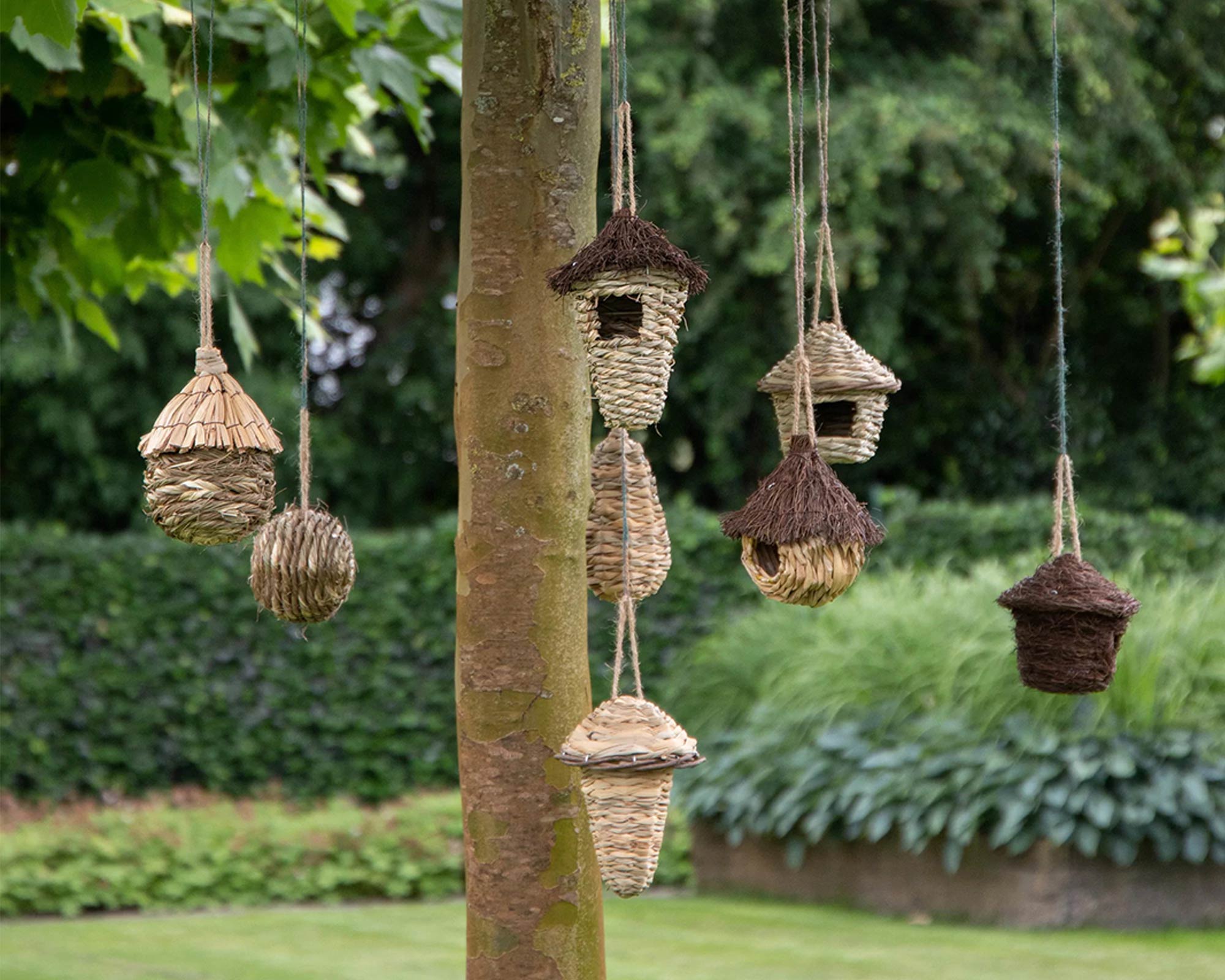 Casetta Per Uccelli In Seagrass - immagine 3