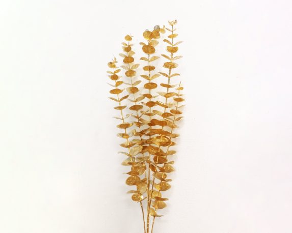 Ramo di Eucalipto Dorata