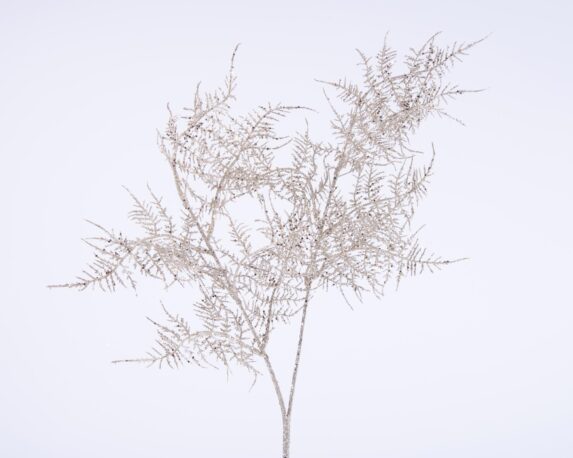 Ramo Di Felce Champage Con Glitter