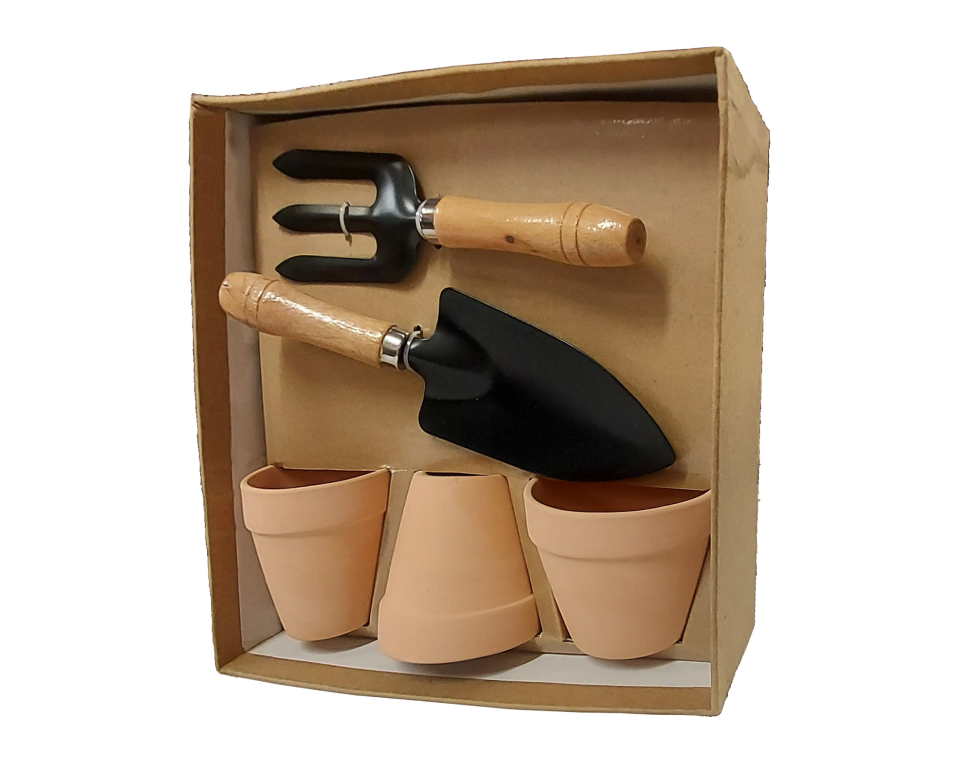 Kit 5 Pz Coltivazioni Di Erbe Aromatiche