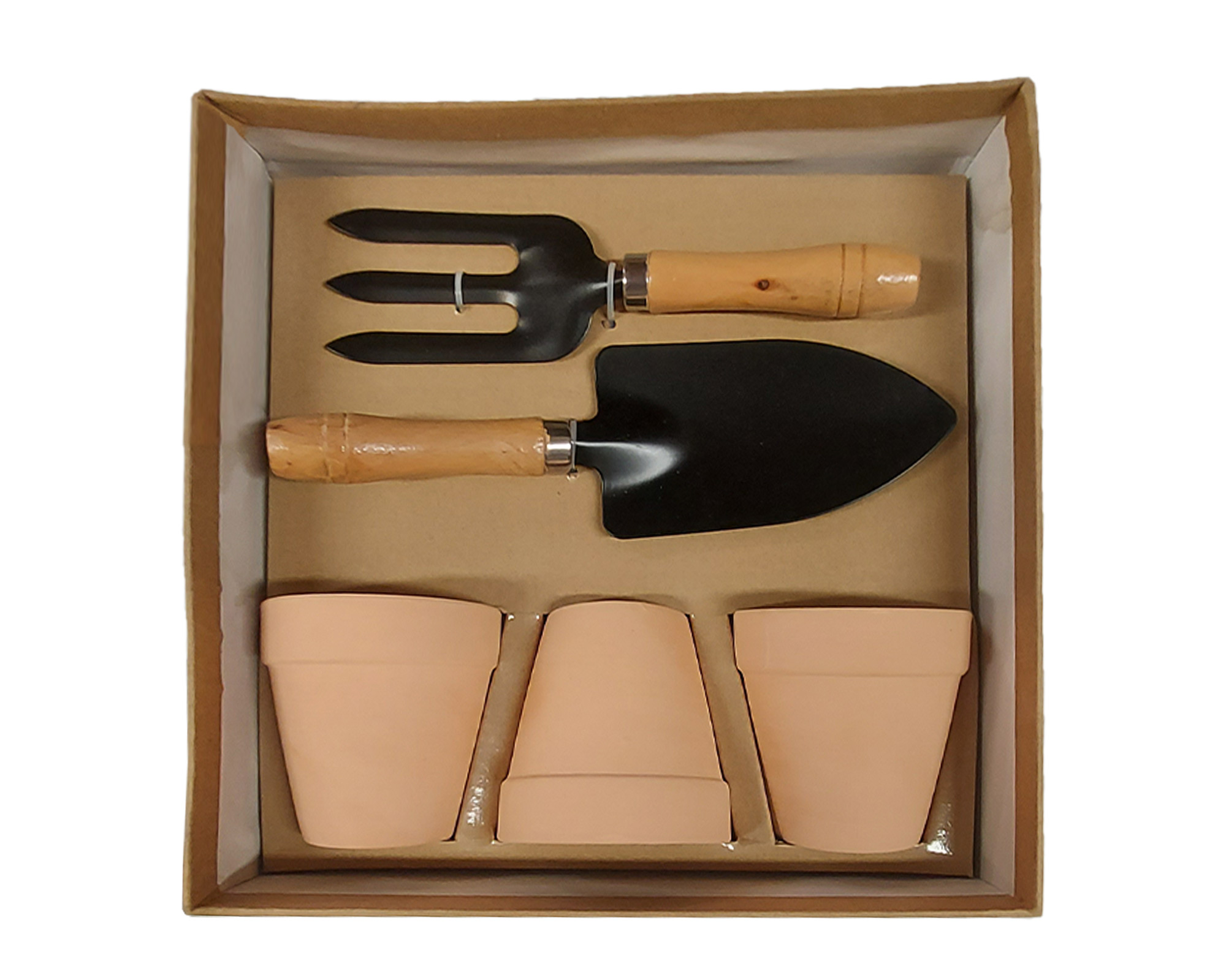 Kit 5 Pz Coltivazioni Di Erbe Aromatiche - immagine 2