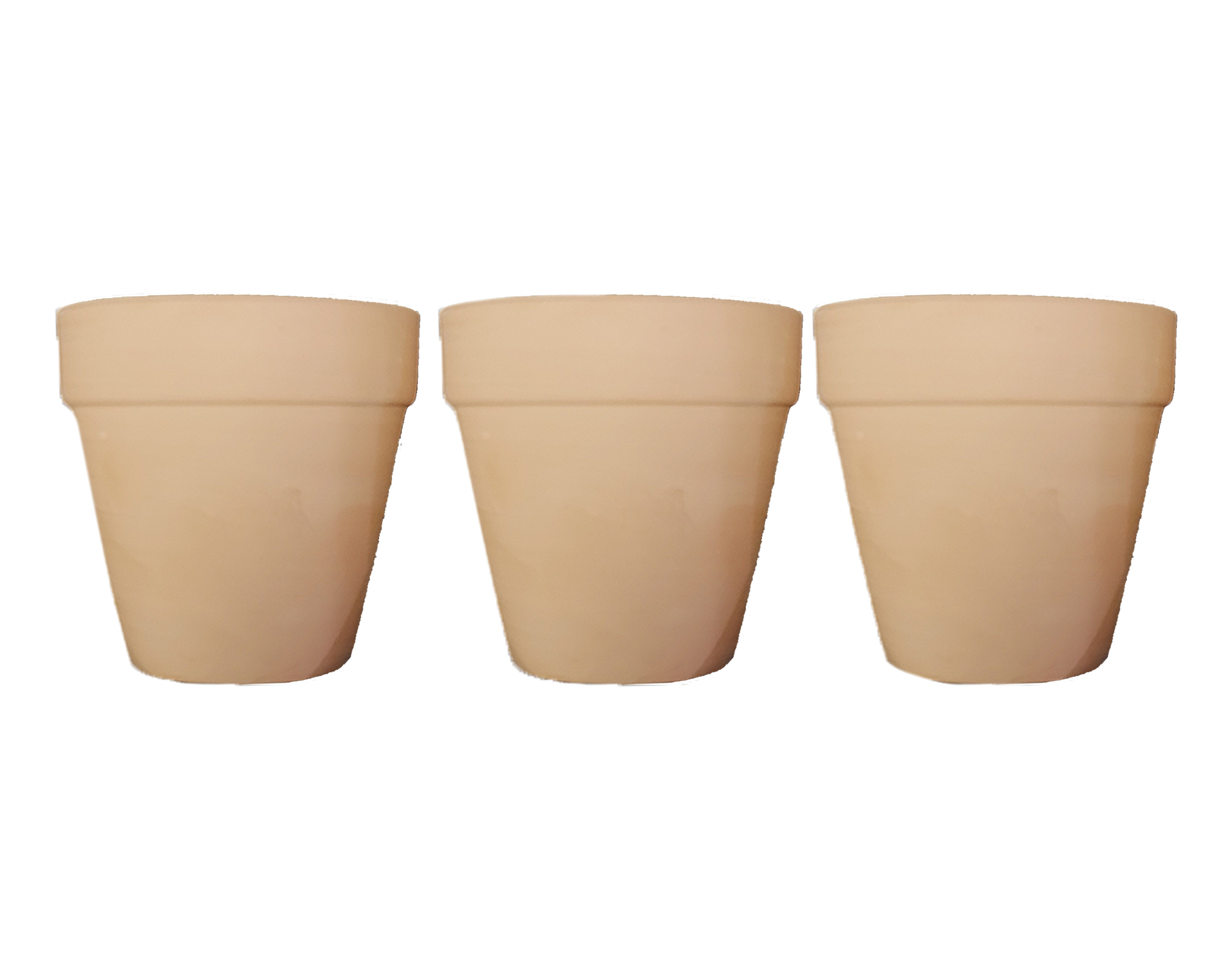 Kit 5 Pz Coltivazioni Di Erbe Aromatiche - immagine 3