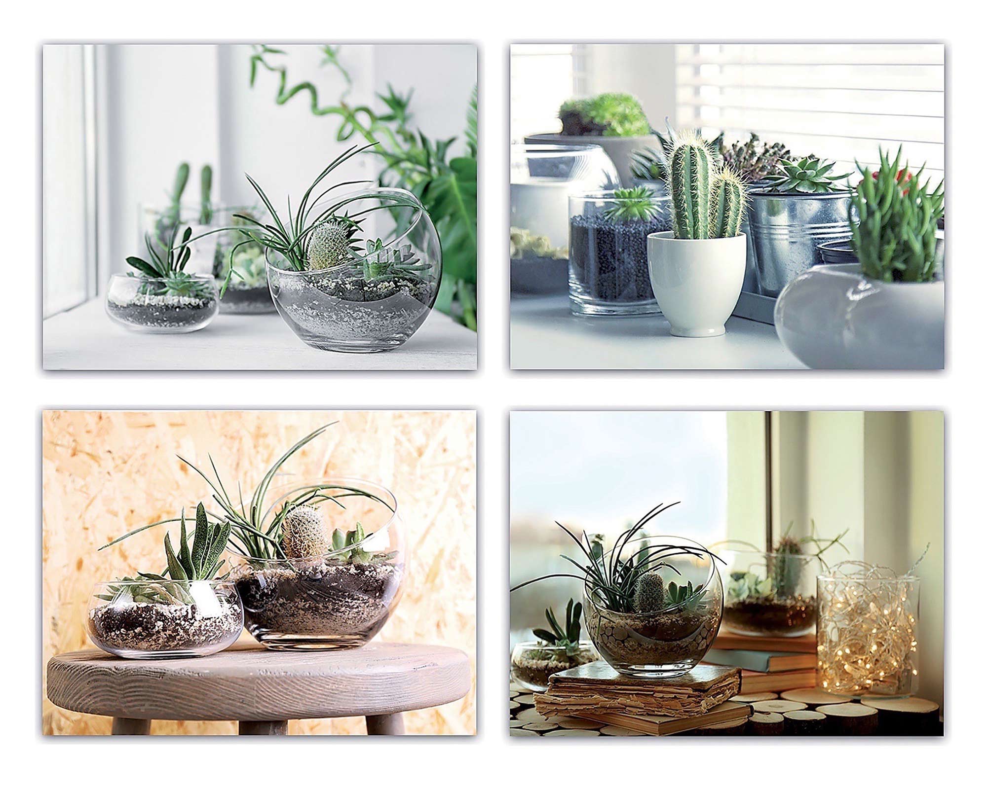 Quadro Oleografia Su Tela