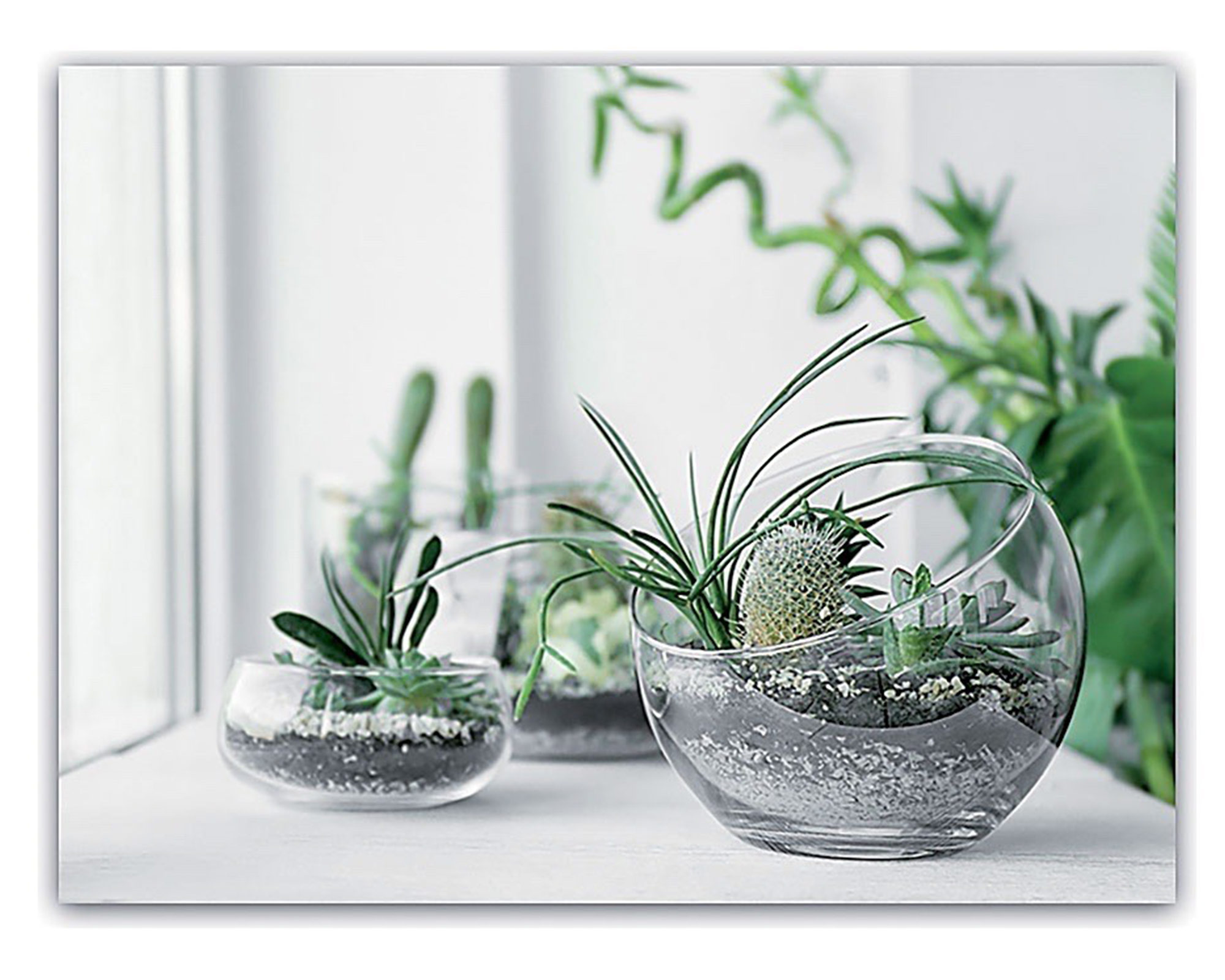 Quadro Oleografia Su Tela - immagine 4