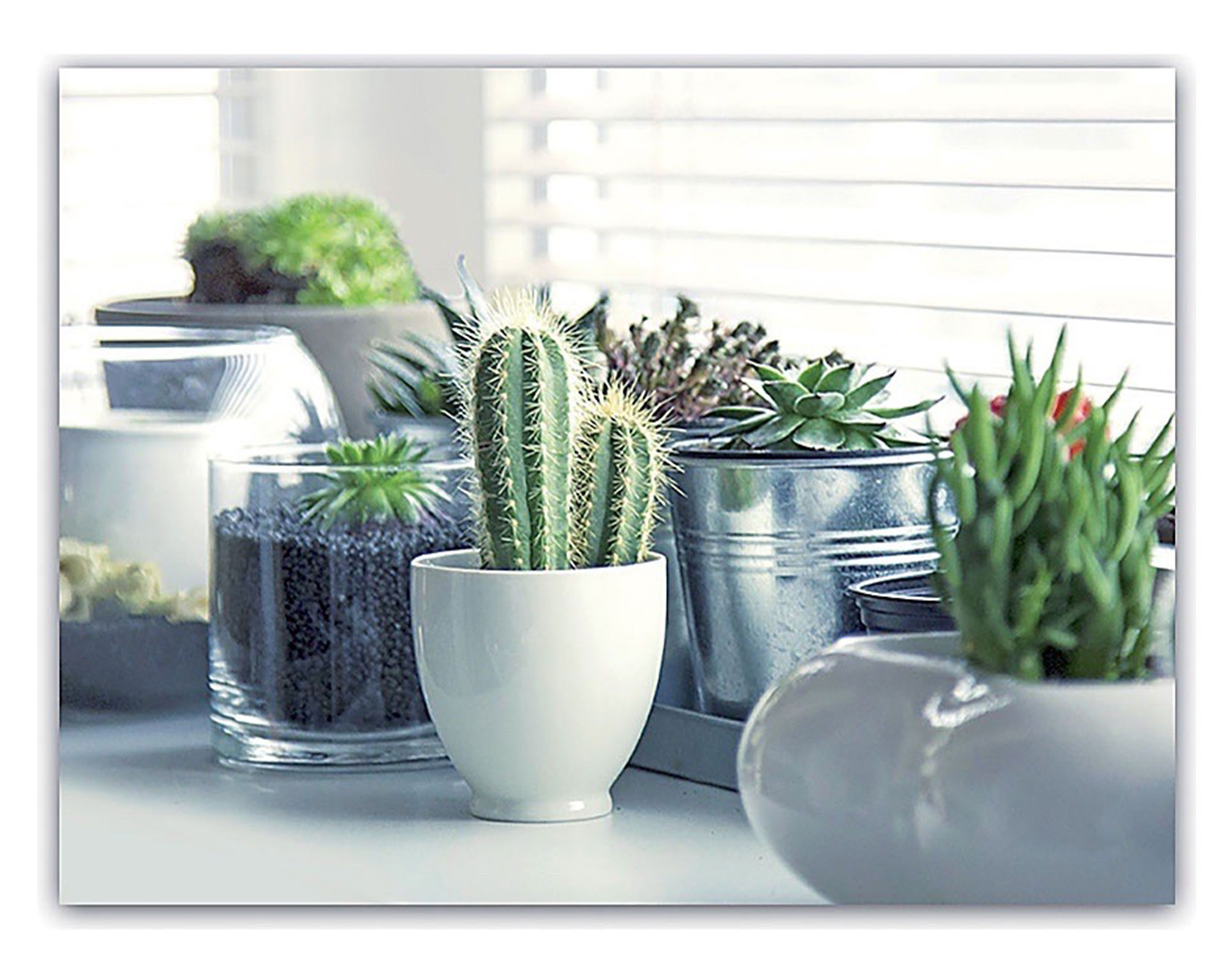 Quadro Oleografia Su Tela - immagine 5