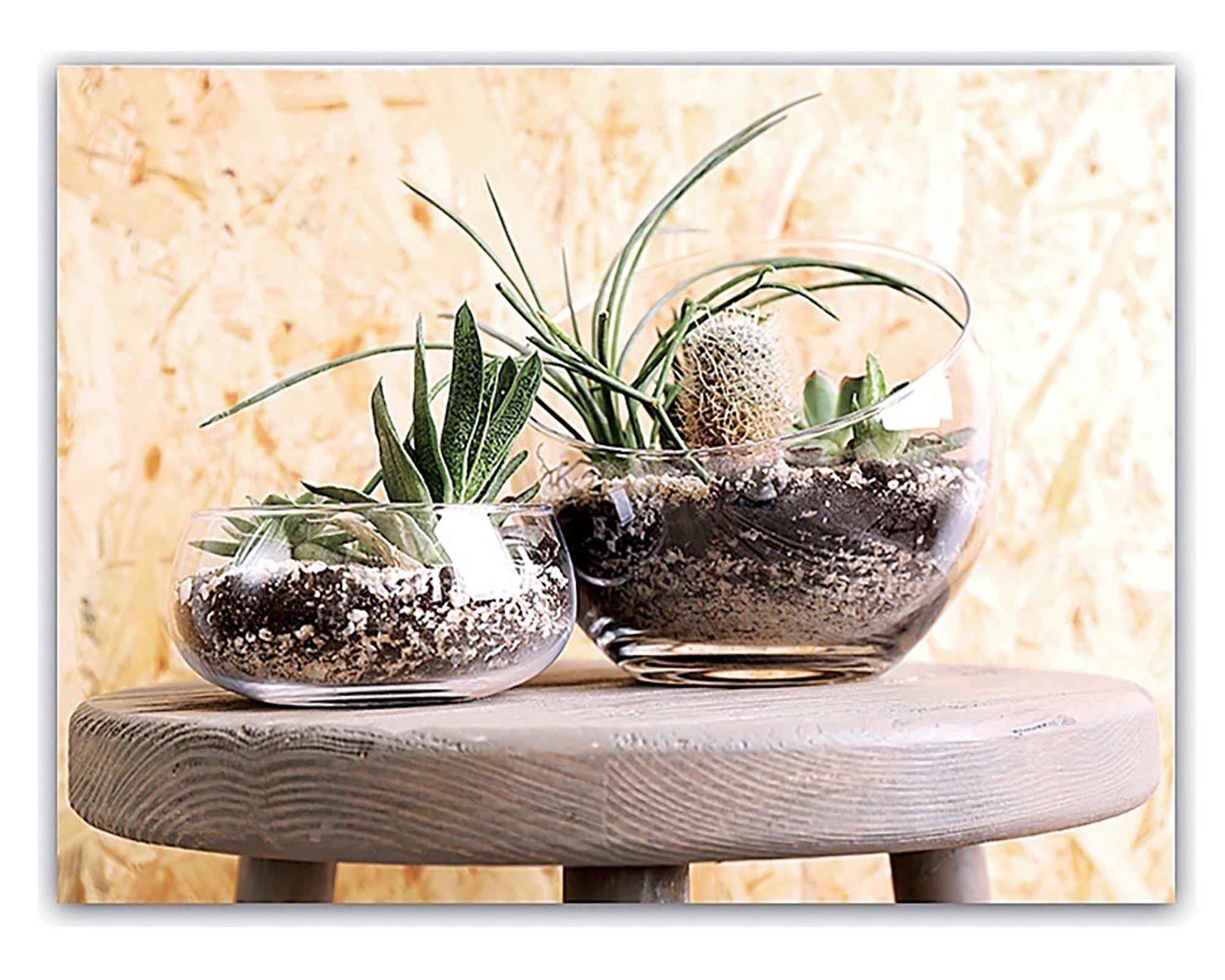 Quadro Oleografia Su Tela - immagine 6