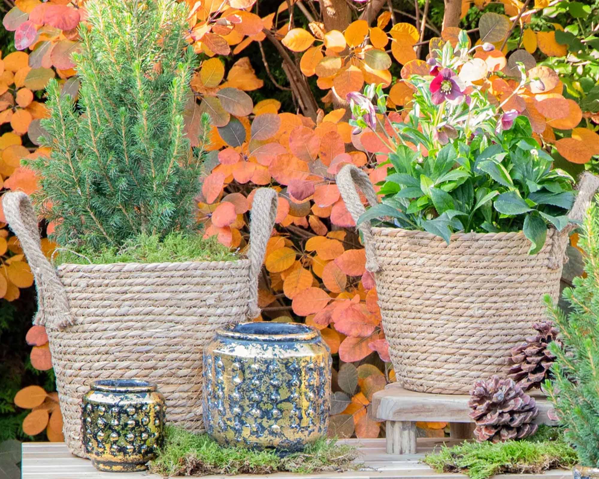 Cesta Alba Planter Natural - immagine 3