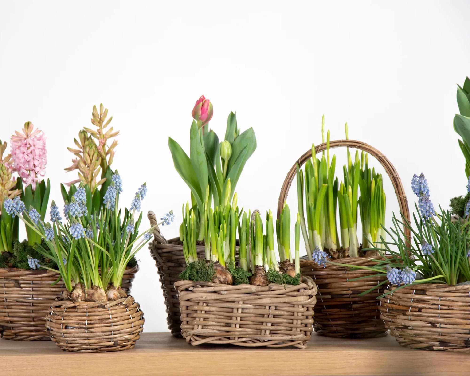 Cesta Con Manico Harvest Medium - Mega Collections - immagine 4