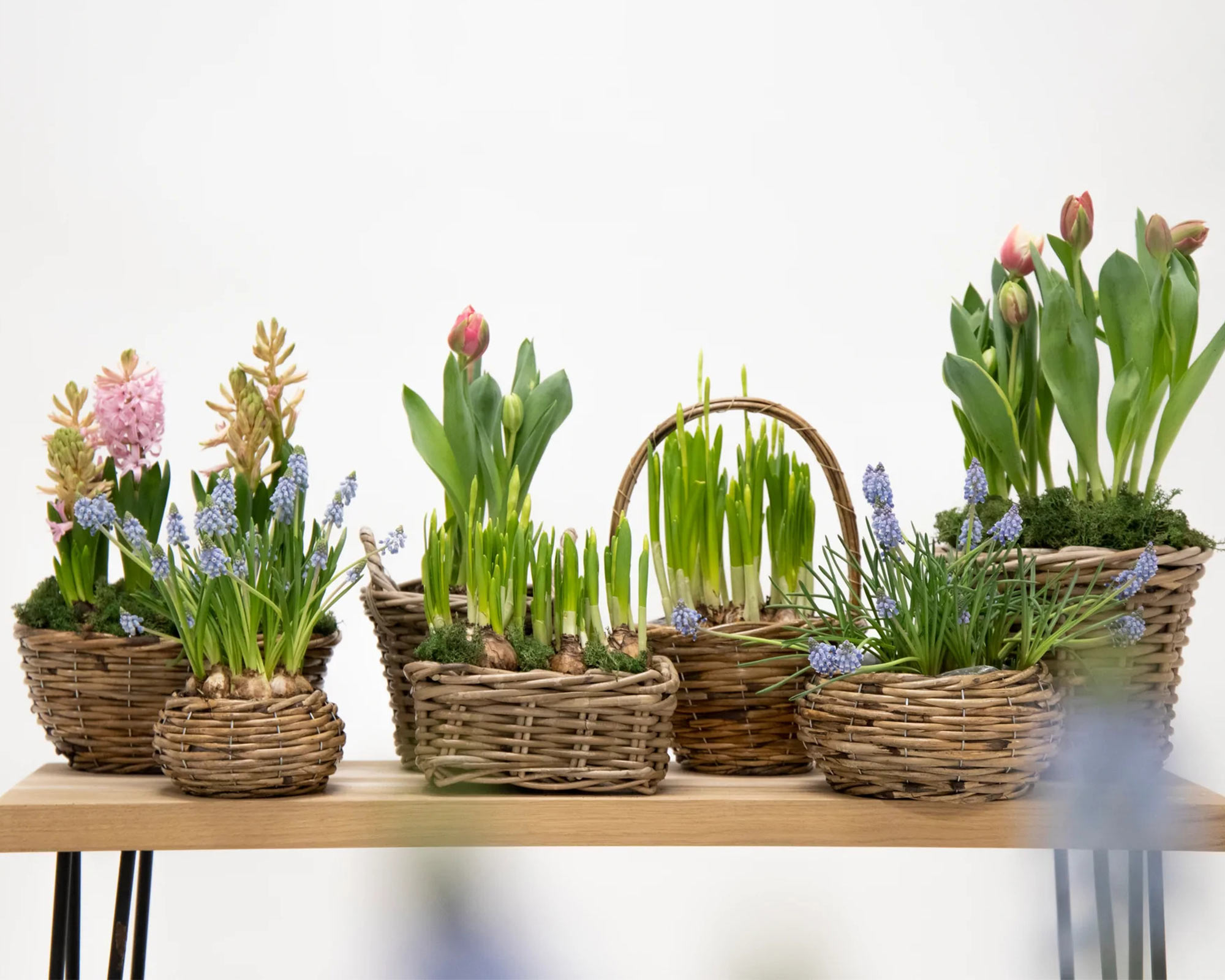 Cesta Cubu Belly Round Extra Large - Mega Collections - immagine 4