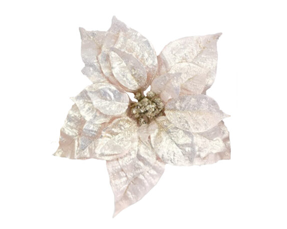 Fiore Di Poinsettia Con Clip Rosa Perlato