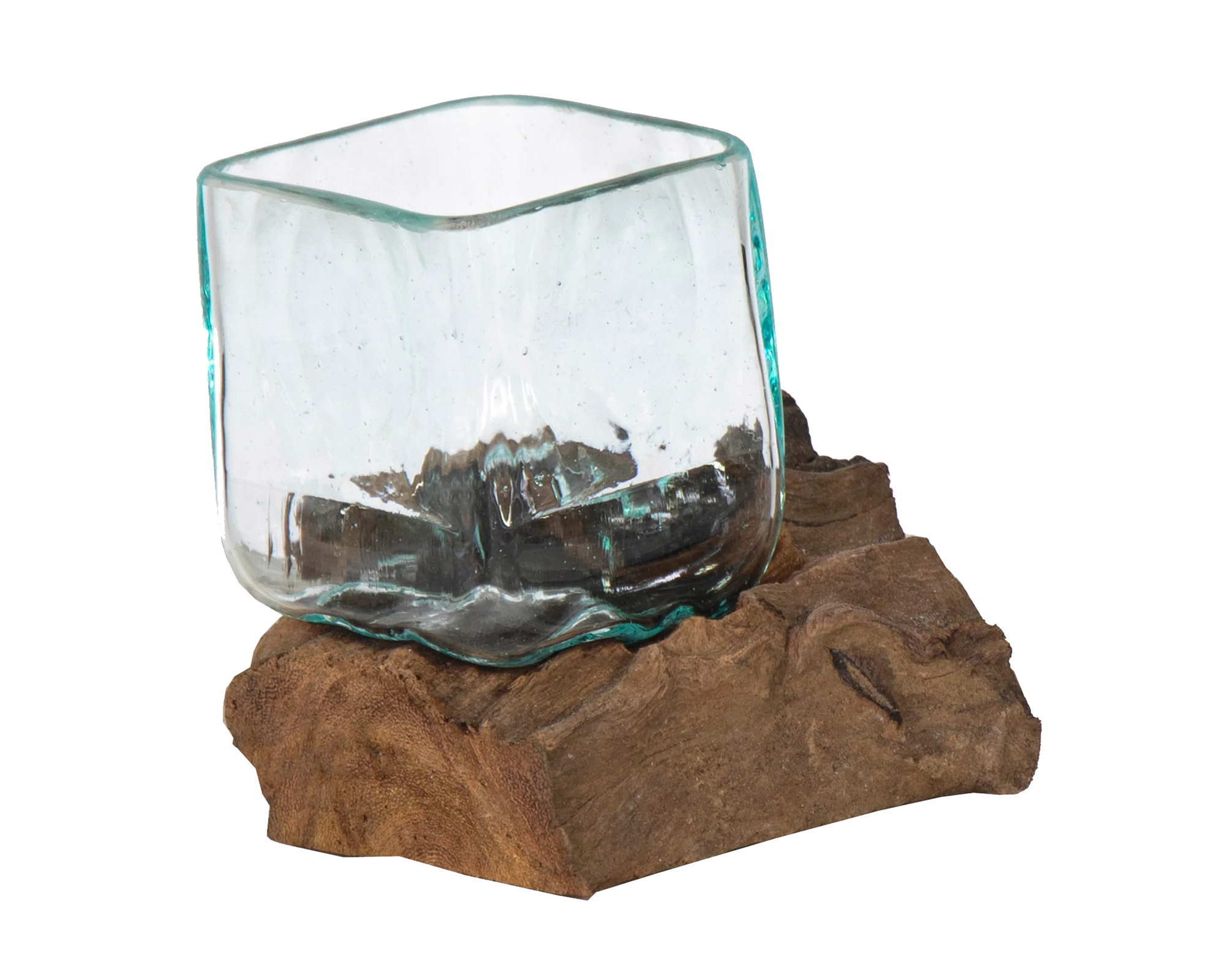 Radice Naturale Di Legno Con Ciotola - Mega Collections