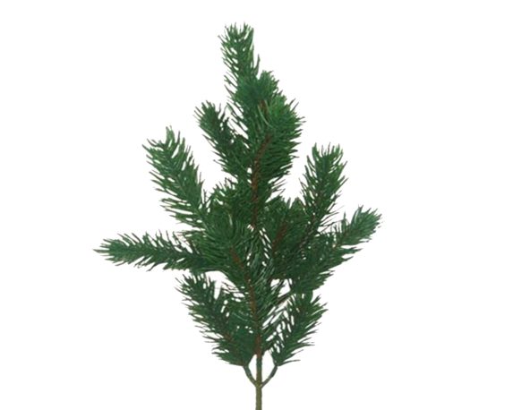 Decorazione Natalizia Ramo Di Pino