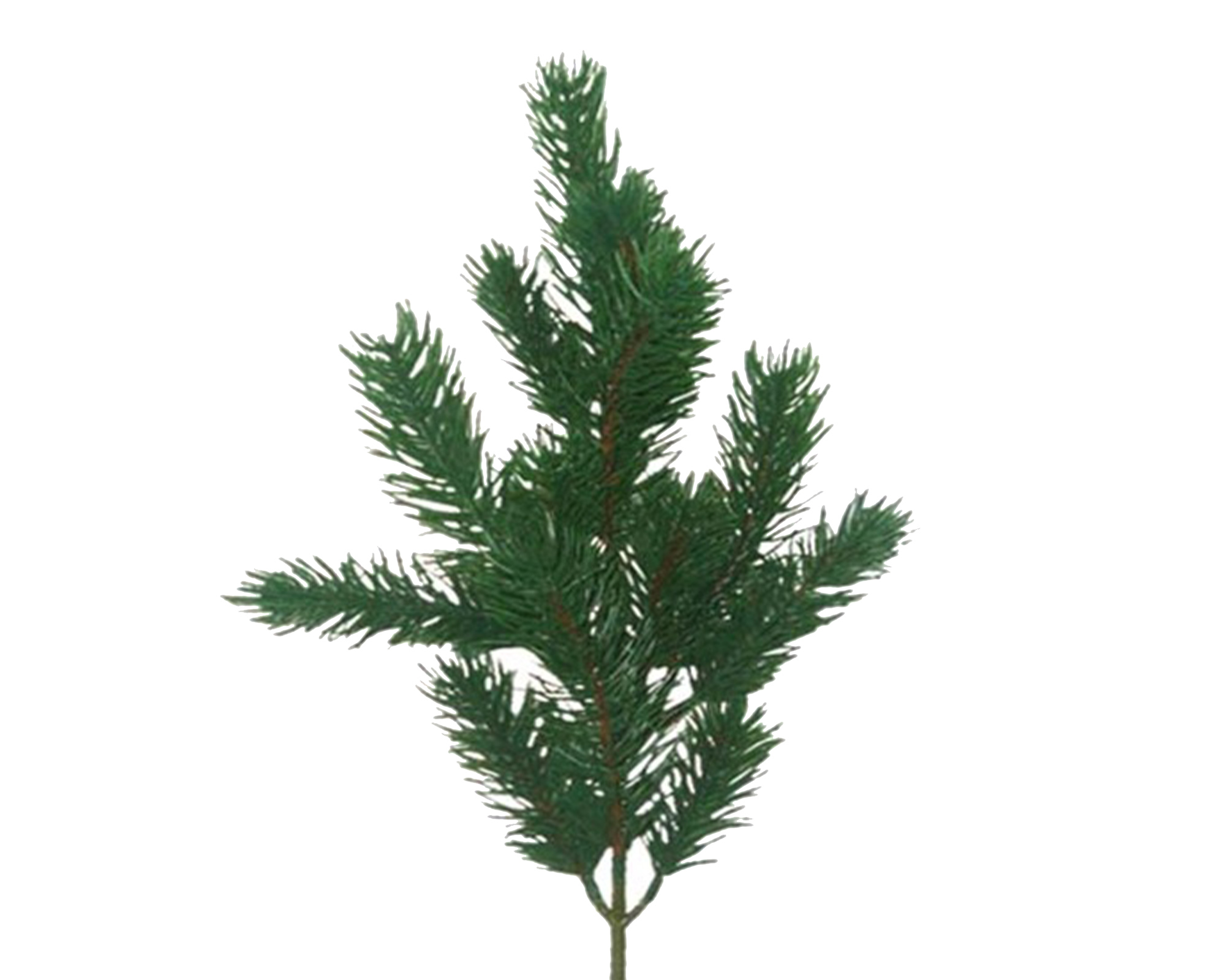 Decorazione Natalizia Ramo Di Pino