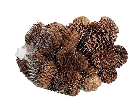 Rete Di Pigne Naturali