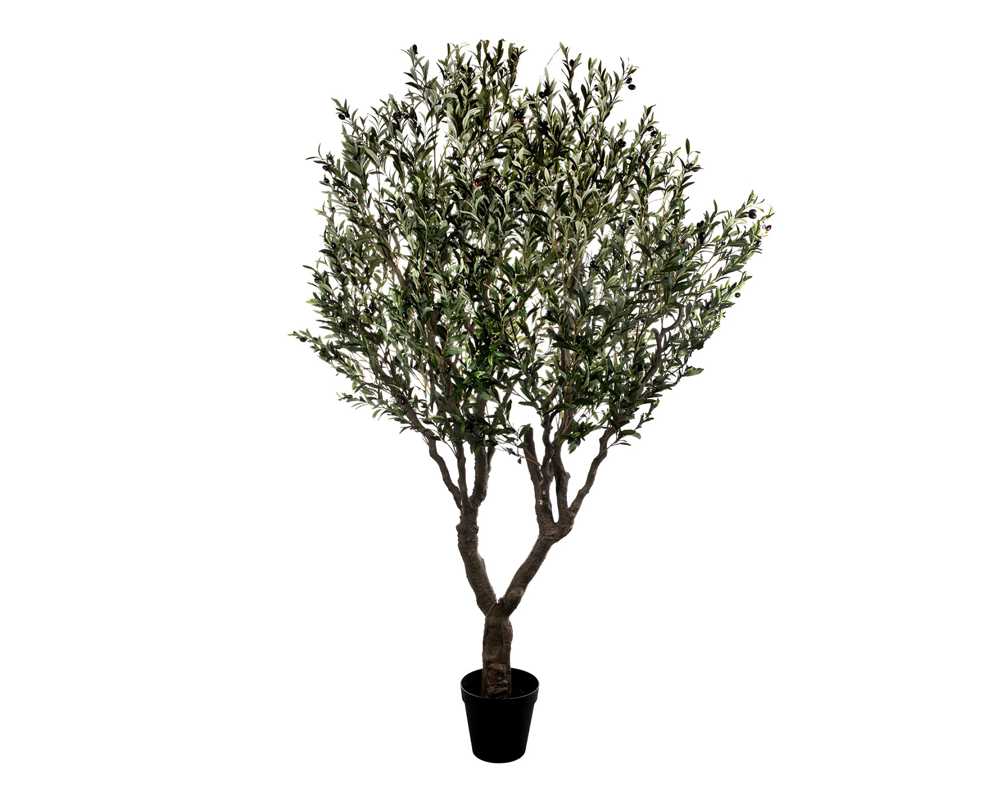 Albero D'Ulivo Pianta Artificiale in PVC