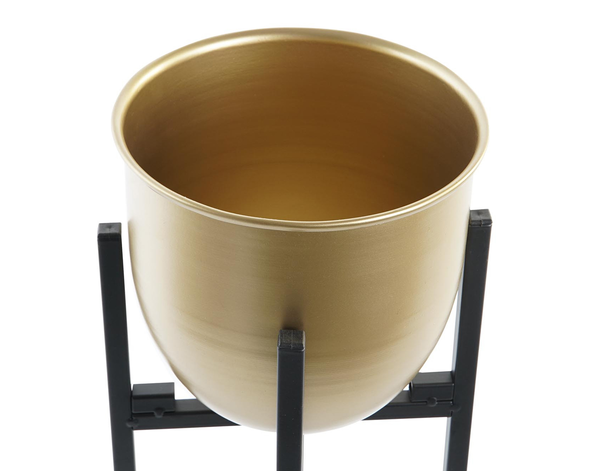 Cachepot con Base in Metallo Dorato - Item - immagine 2