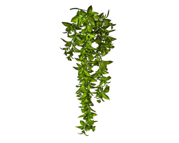 Ruscus Cadente Stelo Artificiale