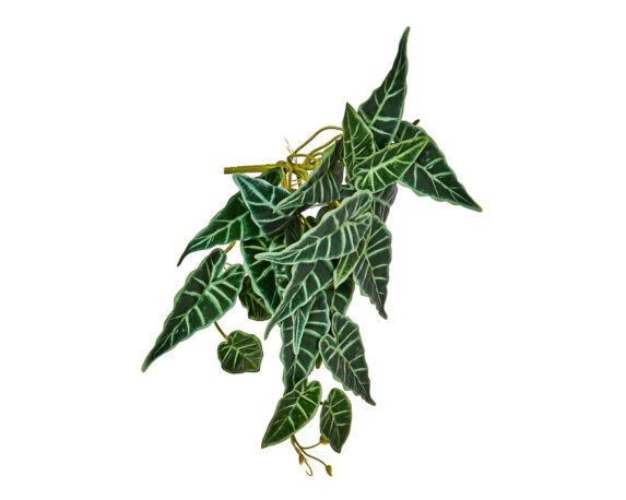 Syngonium Cadente Stelo Artificiale