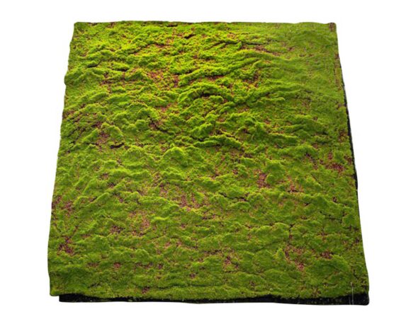 Mattonella Con Muschio