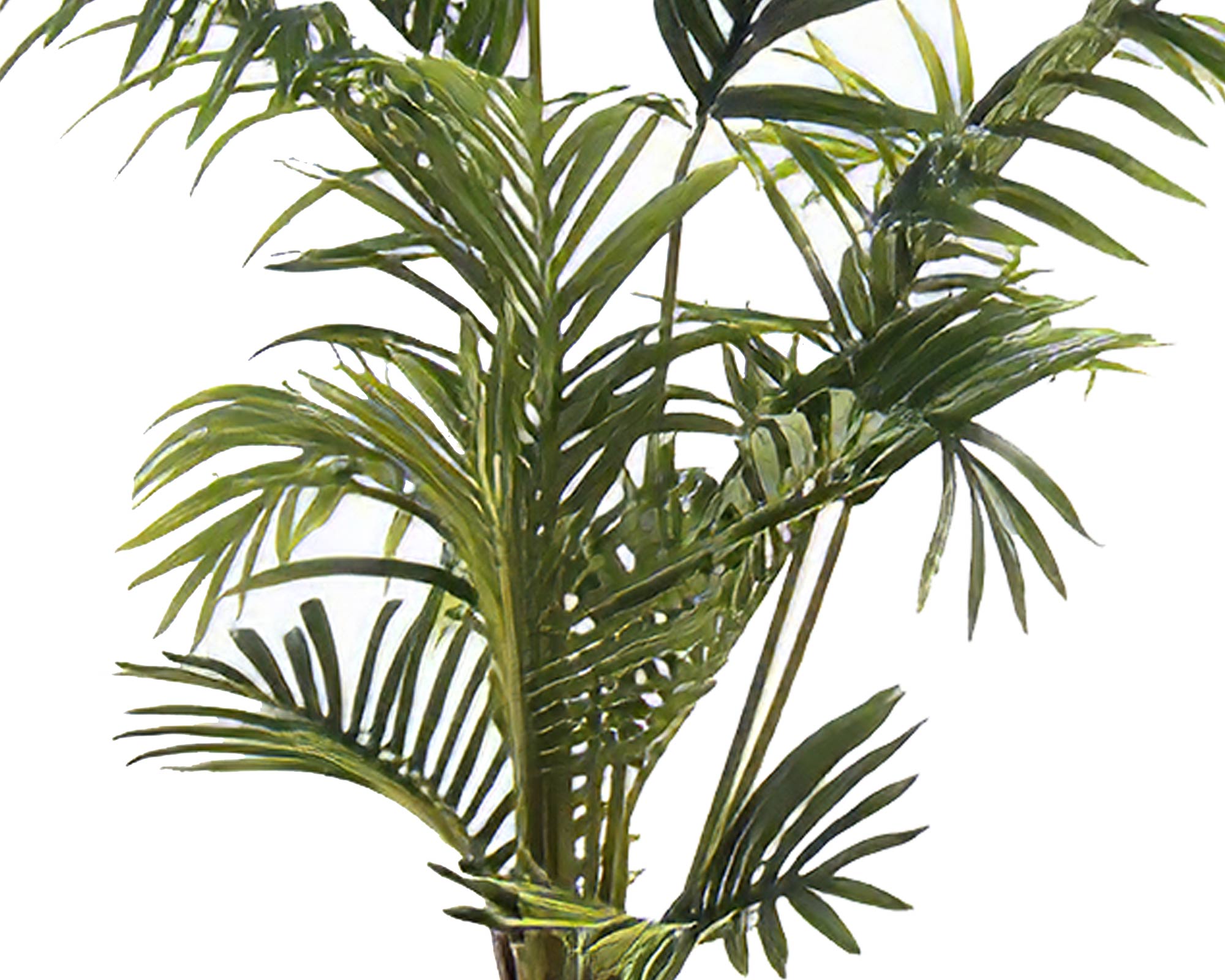 Palma Real Touch Verde - immagine 2