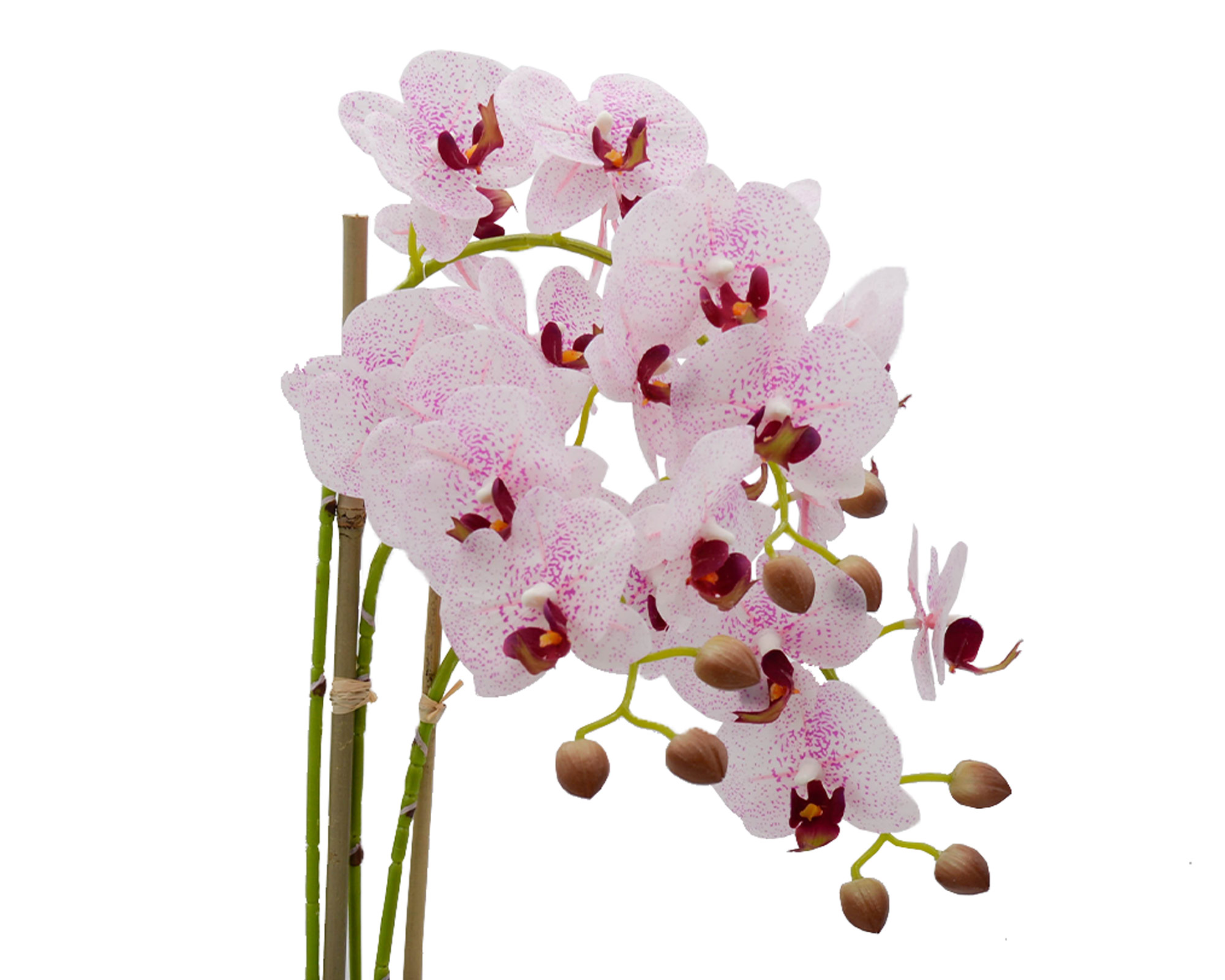 Phalaenopsis Rosa 3 Rami In Vaso - immagine 2