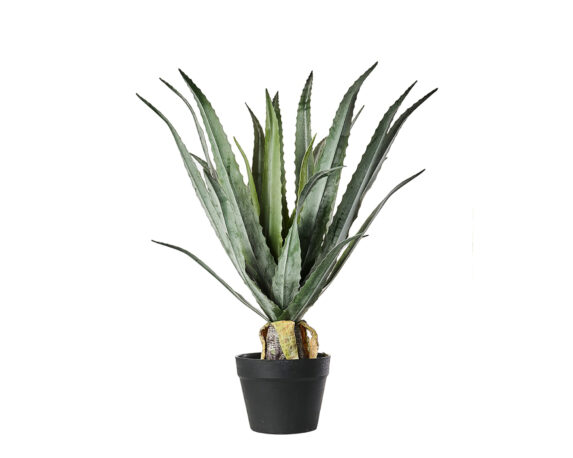 Dracena Pianta Artificiale