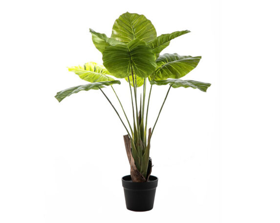 Syngonium Pianta Artificiale