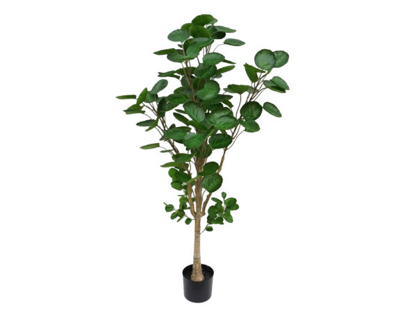 Polyscias Pianta Sintetica